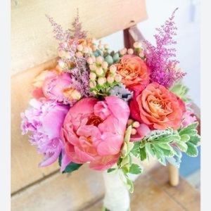 Meet your Posher, Darcie